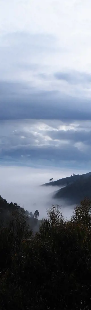 Die kurvige Fahrt zum Bwindi Impenetrable National Park